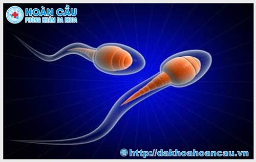 Tinh trùng xy sống được bao lâu ở trong tử cung